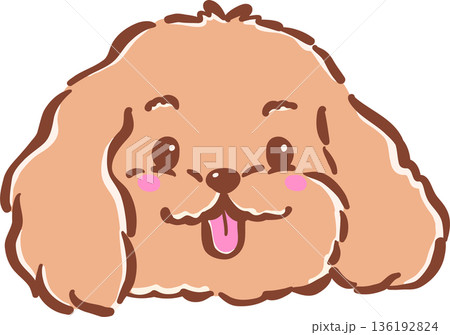 Adorable Cavoodle Dog Face with Tongue Out Cartoon Hand Drawn Whimsical Adorable Cavoodle Dog Face with Tongue Out Cartoon Hand Drawn Whimsical 136192824