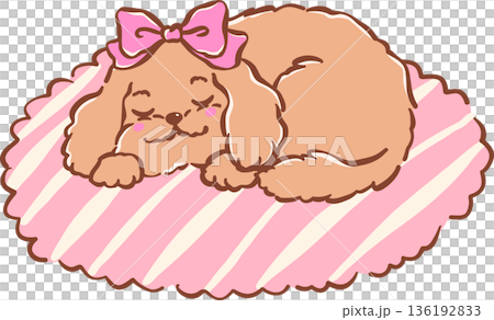 Adorable cozy sleeping cavoodle dog on rug mat hand drawn girly cartoon Whimsical Adorable cozy sleeping cavoodle dog on rug mat hand drawn girly cartoon Whimsical 136192833