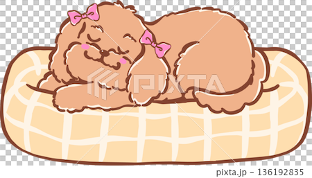 Adorable cozy home sleeping cavoodle dog on bed hand drawn girly cartoon Whimsical 136192835