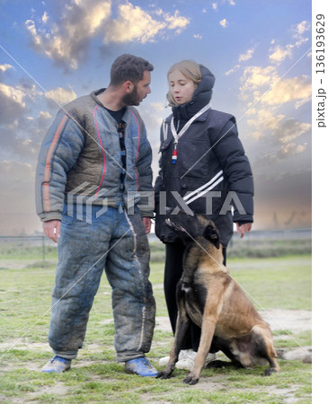 training of belgian shepherd 136193629