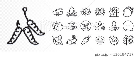 Weather, Sunrise and Leaf line icons for web app. Glare of light effect. Message icon. Pack of Water splash, Acorn, Deckchair pictogram icons. Animal tested, Organic tested, Snow weather signs. Vector Weather, Sunrise and Leaf line icons for web app. Glare of light effect. Message icon. Pack of Water splash, Acorn, Deckchair pictogram icons. Animal tested, Organic tested, Snow weather signs. Vector 136194717