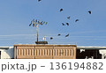 Flock of birds flying above residential building roof against clear blue sky on winter morning. 136194882