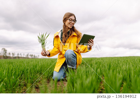 A young female smart farmer with tablet on field, High technology innovations and smart farming. 136194912