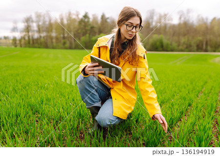 The woman agronomist uses a tablet, applications for monitoring the state of the field, plant 136194919