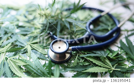 Exploring the healing connection between nature and medicine with cannabis leaves and a stethoscope Exploring the healing connection between nature and medicine with cannabis leaves and a stethoscope 136195041