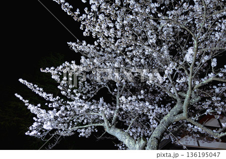 西山公園(西山荘近辺) 西山公園(西山荘近辺) 136195047