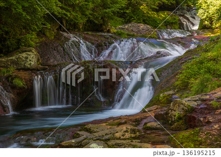 夏の長野県茅野市 奥蓼科 おしどり隠しの滝 夏の長野県茅野市 奥蓼科 おしどり隠しの滝 136195215