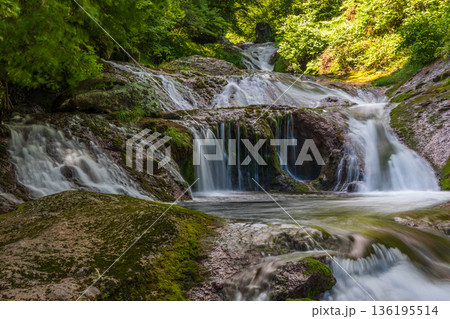 夏の長野県茅野市　奥蓼科　おしどり隠しの滝 136195514