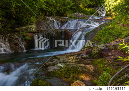 夏の長野県茅野市　奥蓼科　おしどり隠しの滝 136195515