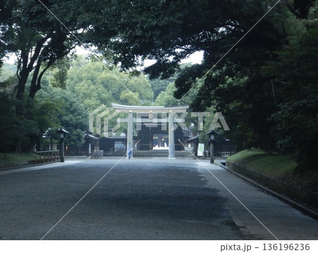 雨の明治神宮参拝 136196236