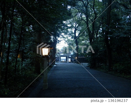 雨の明治神宮参拝 雨の明治神宮参拝 136196237