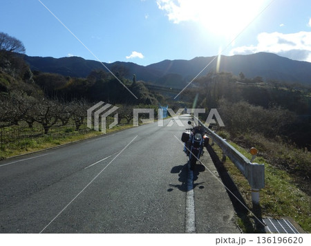 バイクで景色を楽しむライダー バイクで景色を楽しむライダー 136196620
