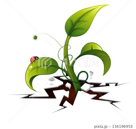 Green Sprout from Crack Green Sprout from Crack 136196958