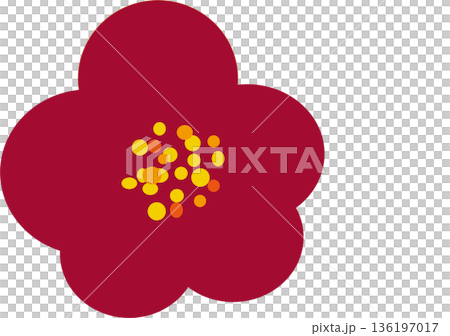 シンプルな梅の花のイラスト 136197017