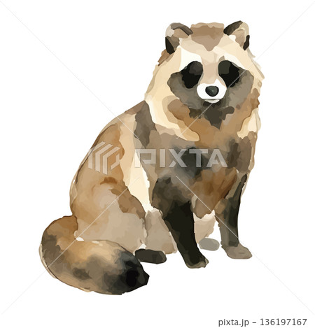水彩風のたぬきイラスト 水彩風のたぬきイラスト 136197167