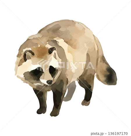 水彩風のたぬきイラスト 136197170