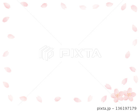 桜の花のフレーム・水彩・淡いピンク・春の背景・コピースペース・背景透過・お祝い・卒業・入学 136197179