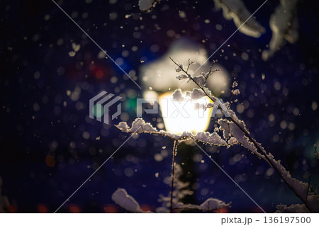 雪降る夜：降りしきる雪と温かい街灯の明かり 136197500