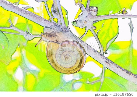 絵画風アートなカタツムリの絵 136197650