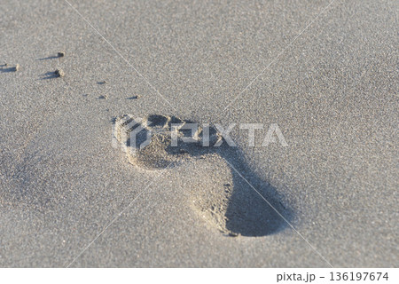 辻堂海岸砂浜に残された足跡 136197674