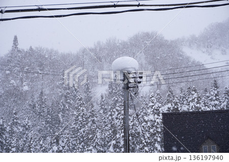 雪の積もった電信柱（雪）04 136197940