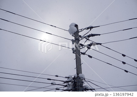 雪の積もった電信柱(雪)06 雪の積もった電信柱(雪)06 136197942