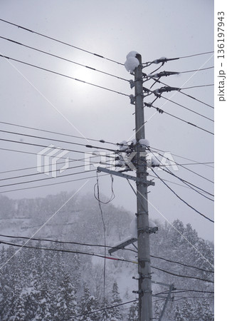 雪の積もった電信柱（雪）07 136197943