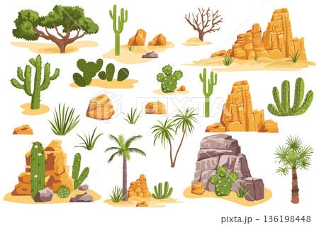 Desert Stones and Plants Desert Stones and Plants 136198448