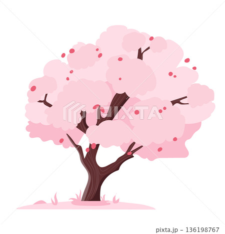 Sakura tree blooming in flat design. Japanese spring cherry blossoms. Vector illustration isolated. Sakura tree blooming in flat design. Japanese spring cherry blossoms. Vector illustration isolated. 136198767
