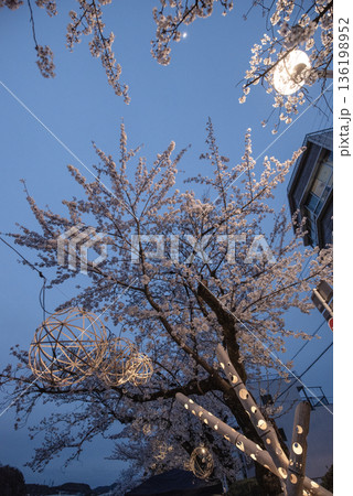 犬山木曽川遊歩道の夜桜 136198952