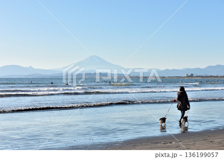 鵠沼海岸で二匹の犬の散歩をする女性 136199057