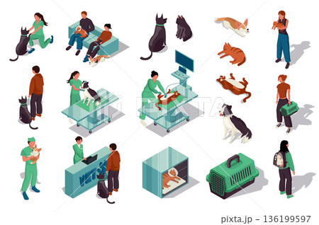 Vet clinic 3d isometric set. Collection isolated flat elements of veterinary doctor diagnostic, x-ray, animal hospital, dogs and cats, treatment, grooming service, carrying more. Vector illustration. 136199597
