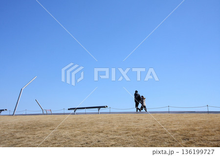 恋人達は青空の下で楽しげに 136199727