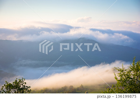 mountain landscape in fog. countryside spring scenery with cloudscape rolling above peaks. fantastic view in to the valley full of cold mist. perechyn highland of transcarpathia in forenoon light mountain landscape in fog. countryside spring scenery with cloudscape rolling above peaks. fantastic view in to the valley full of cold mist. perechyn highland of transcarpathia in forenoon light 136199875