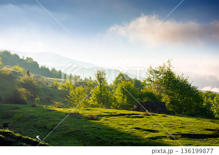 carpathian mountain landscape of ukraine in morning fog. lush green alpine meadows in spring. beautiful view in to the valley. blue sky with clouds on sunny morning. csr visual for esg report carpathian mountain landscape of ukraine in morning fog. lush green alpine meadows in spring. beautiful view in to the valley. blue sky with clouds on sunny morning. csr visual for esg report 136199877