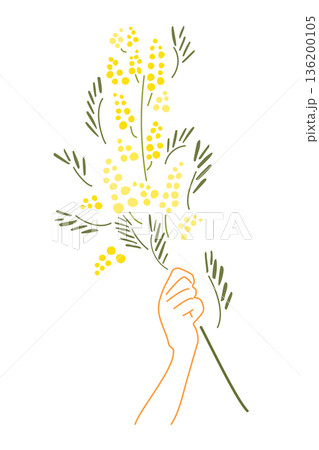 シンプルなミモザのイラスト 136200105