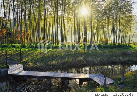 秋の京都嵯峨野　平安郷　木漏れ日の竹林と木橋 136200243