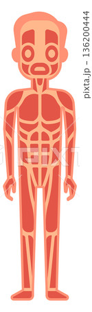 A cartoon man with red muscles stands in front of a white background 136200444