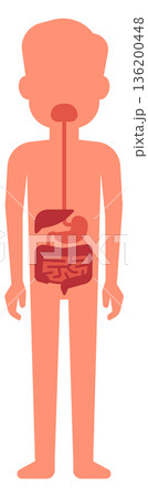 A cartoon of a man s internal organs, including the stomach, liver 136200448