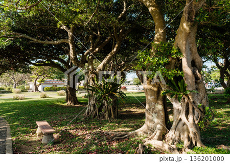 沖縄で見つけた風景。平和への想いを新たに 136201000