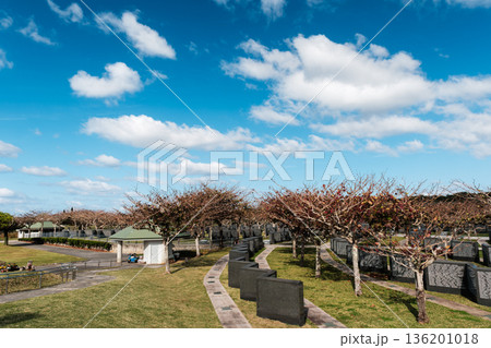 沖縄で見つけた風景。平和への想いを新たに 136201018