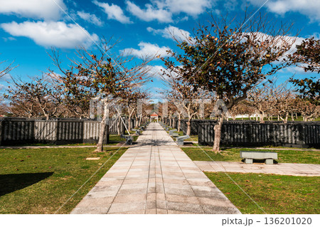 沖縄で見つけた風景。平和への想いを新たに 136201020