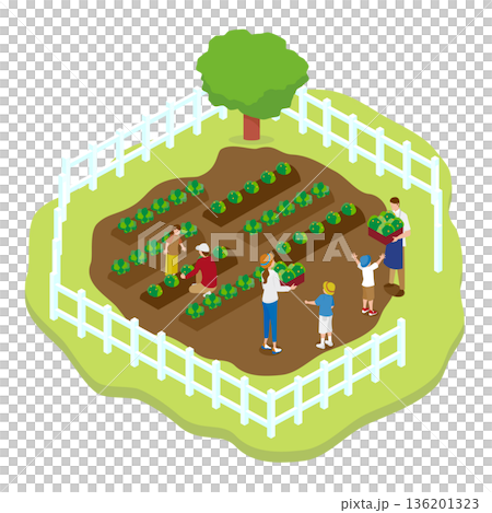 Isometric illustration of a family experiencing harvesting in a home garden (farm/food education) 136201323