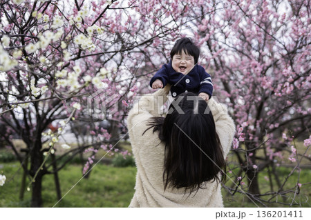梅の花とたかいたかいする親子 梅の花とたかいたかいする親子 136201411