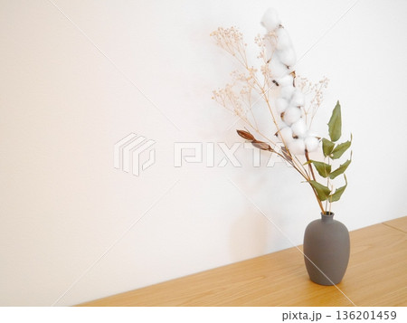 白い背景　ドライフラワー 136201459