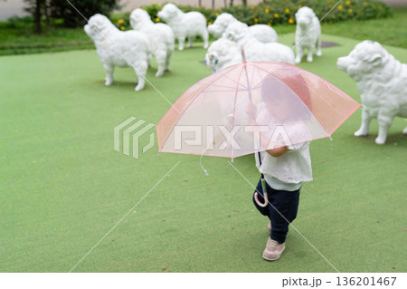 公園の芝生を傘をさして歩く赤ちゃん 公園の芝生を傘をさして歩く赤ちゃん 136201467