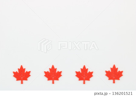 デジタル造形で再現された鮮やかな秋のモミジ 136201521