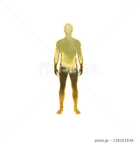まっすぐ立つ黄金の男性、アルファチャンネル 136201636