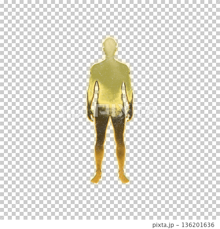 まっすぐ立つ黄金の男性、アルファチャンネル 136201636