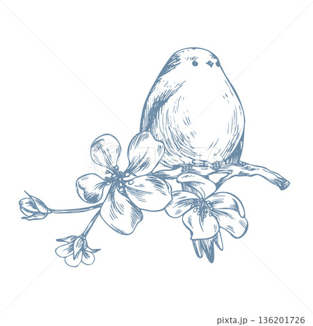 A bird perched on a blossoming apple tree branch. A titmouse in flowers. A hand-drawn, monochrome, line-art graphic illustration. Suitable for spring holidays and weddings. 136201726